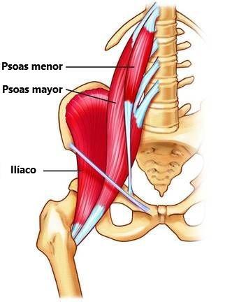 signo del psoas